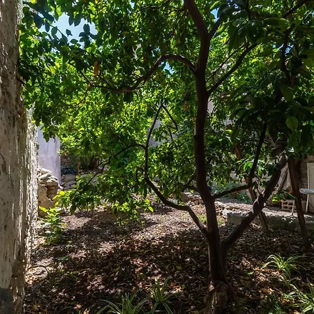 House Polus Tatil Evi *