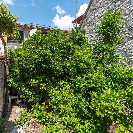 Casa vacanze House Polus *