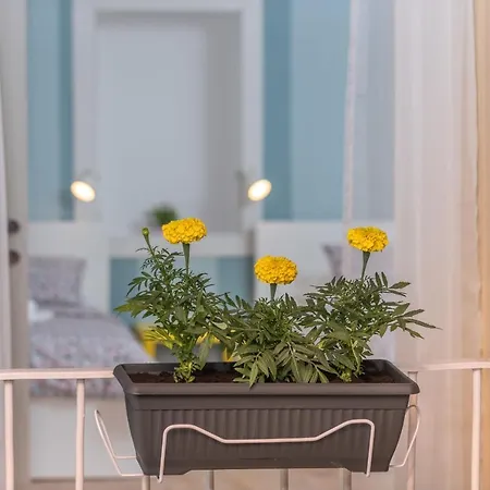 Casa vacanze House Polus *