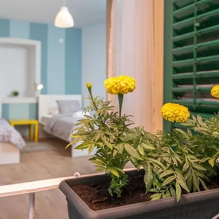 Ferienhaus House Polus